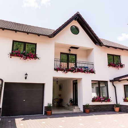 Vila Rodica Transalpina Şugag エクステリア 写真
