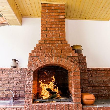 Vila Rodica Transalpina Şugag エクステリア 写真