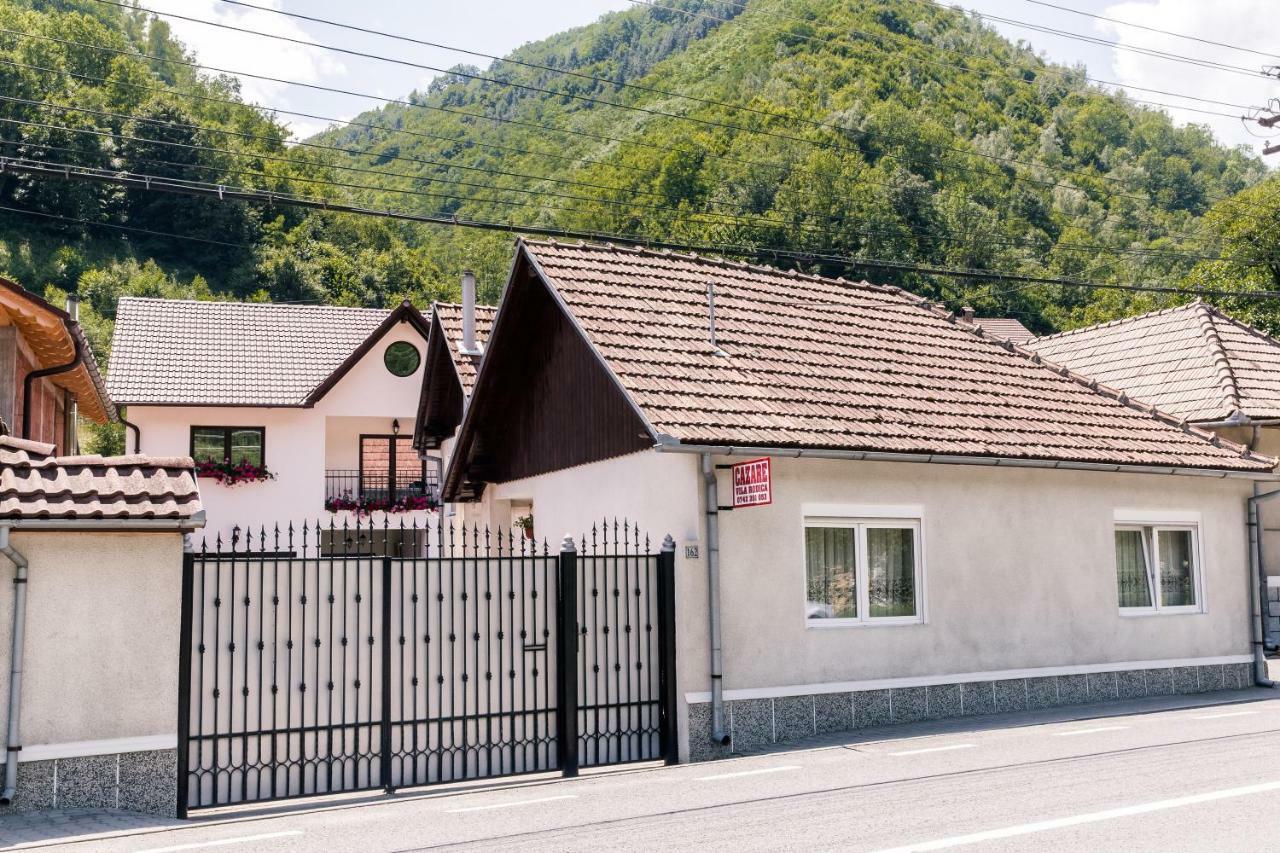 Vila Rodica Transalpina Şugag エクステリア 写真