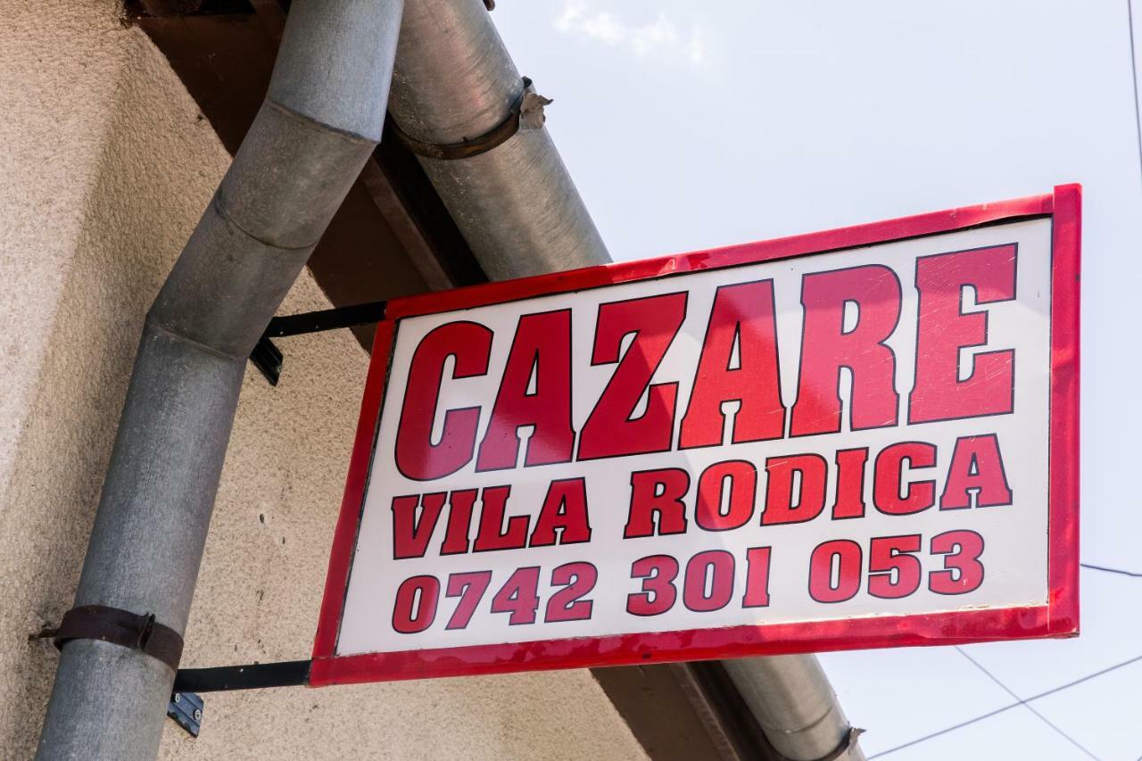 Vila Rodica Transalpina Şugag エクステリア 写真