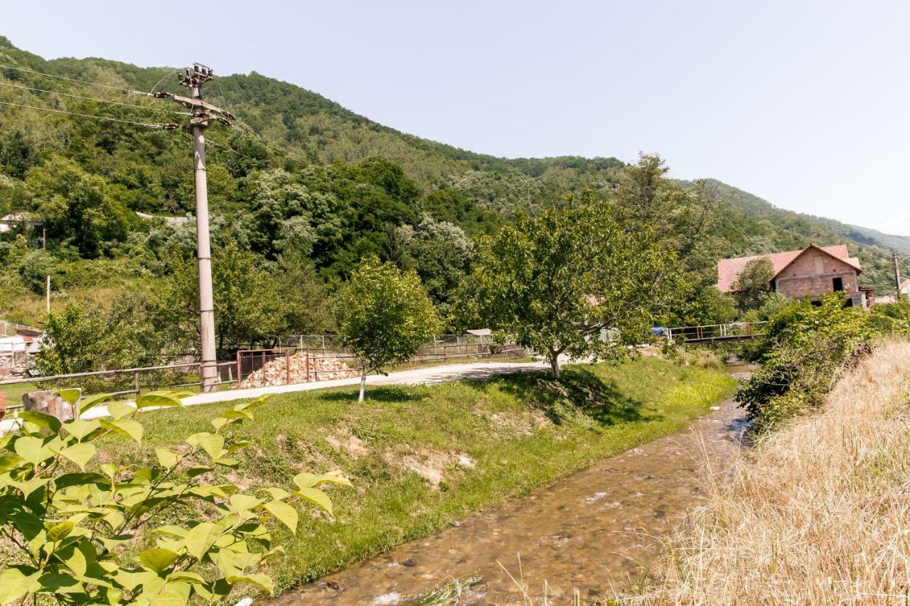 Vila Rodica Transalpina Şugag エクステリア 写真